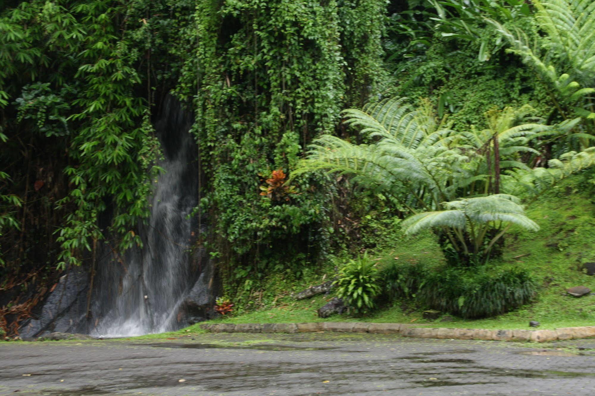 Yeh Panes Bali Marga Exterior foto